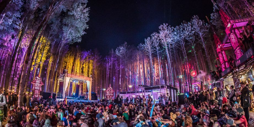 electric forest best music festival