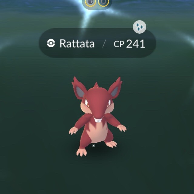 Rattata