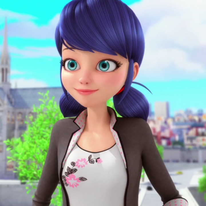 Marinette Dupain-Cheng Miraculous Ladybug Character