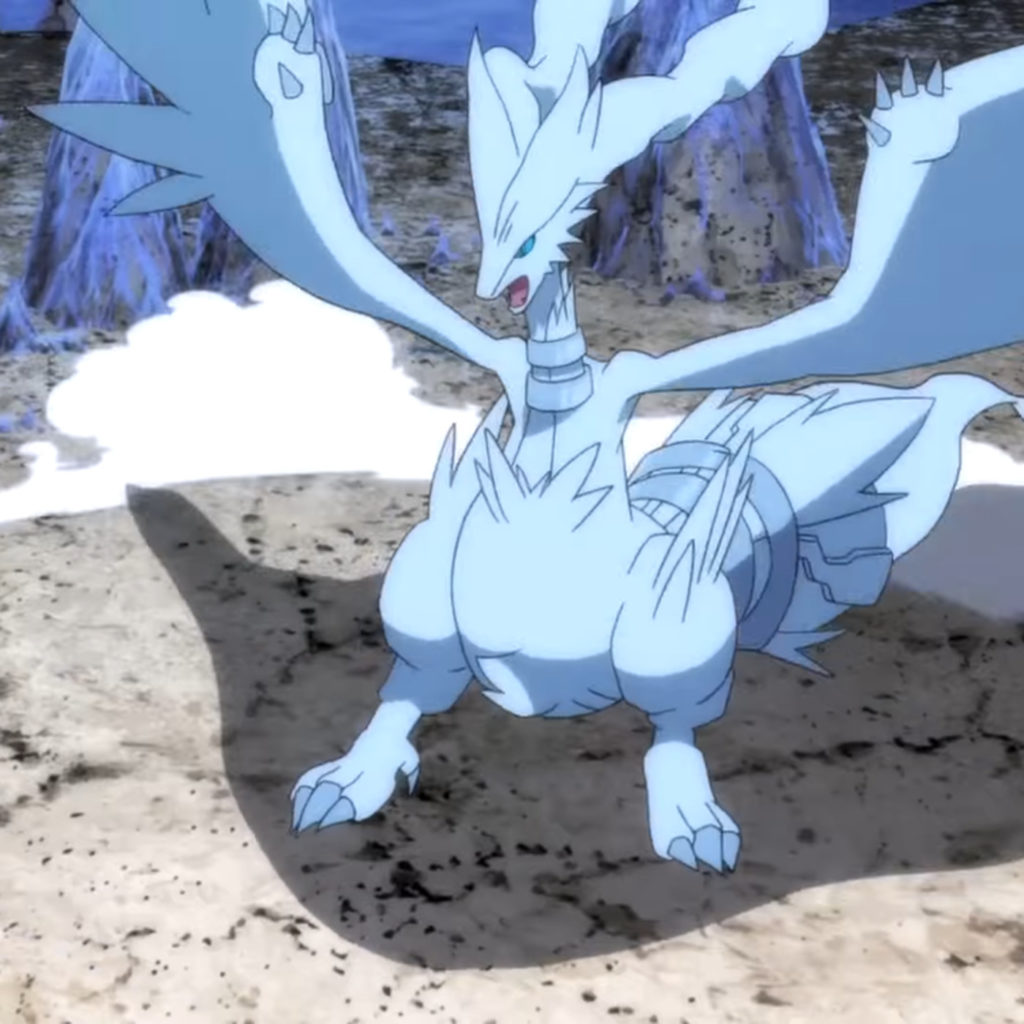 Reshiram  Dragon Type Pokemon