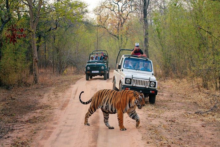 Ranthambore