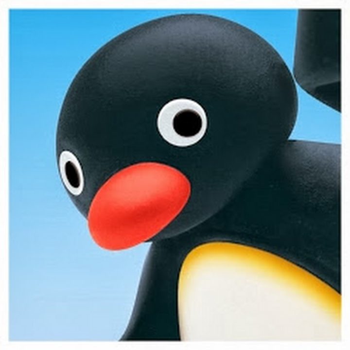 Pingu 