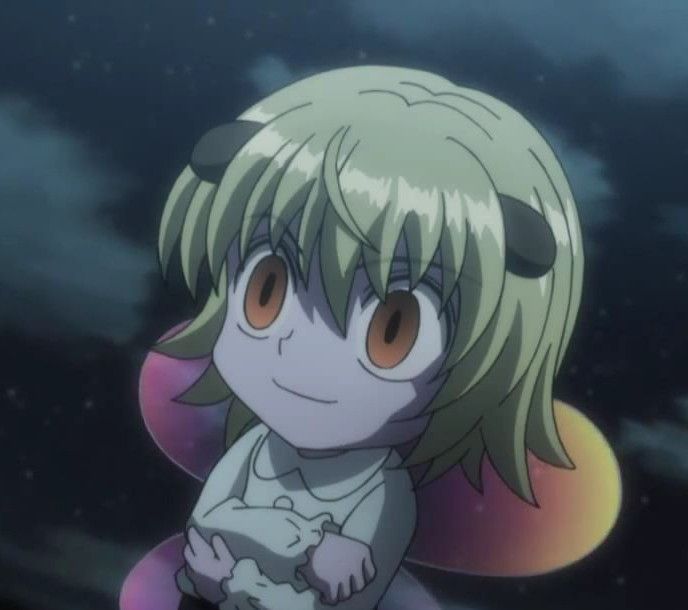 Shaiapouf hxh Hunter x Hunter Characters
