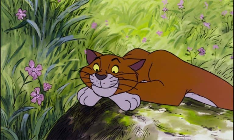 Thomas  Disney Cats