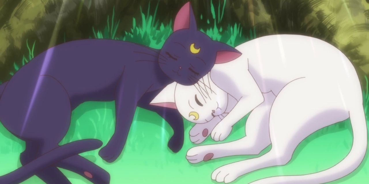 Luna & Artemis  Anime animals