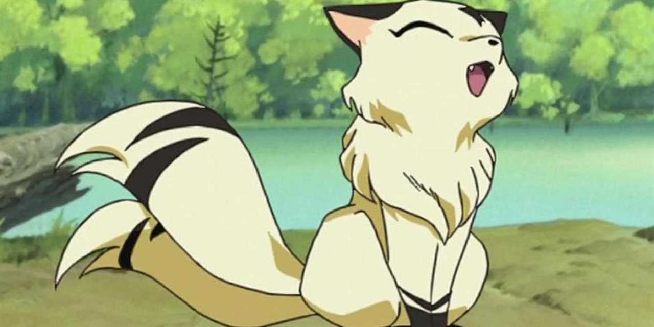 Kirara Anime animals