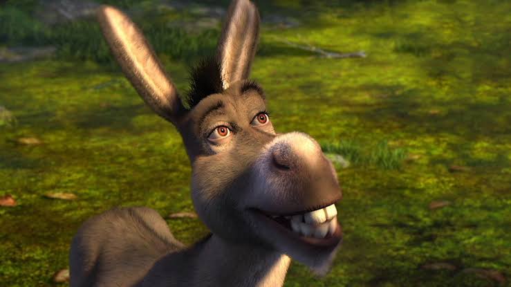 Donkey