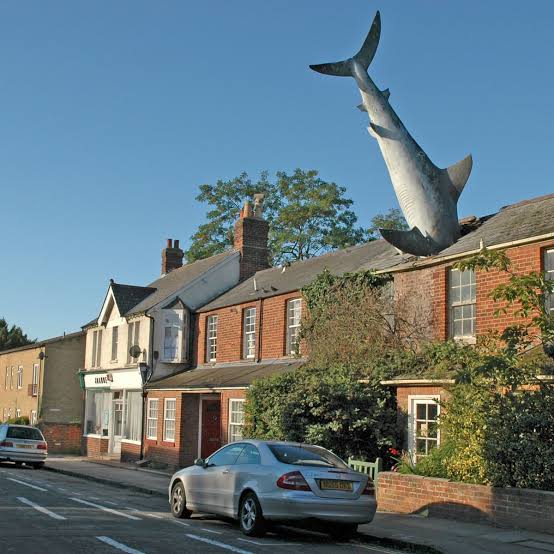 Shark Attack Home