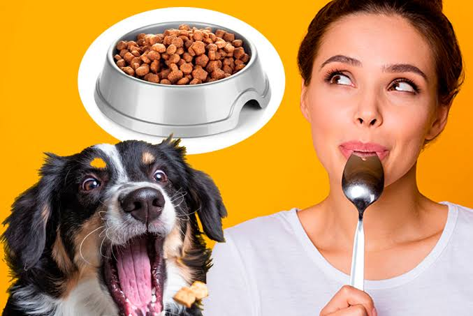 Pet Food Taster Funny Jobs