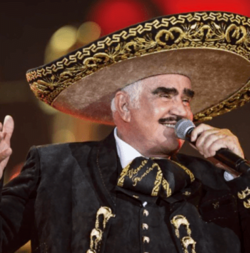 VICENTE FERNANDEZ