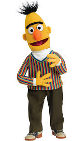 Bert 