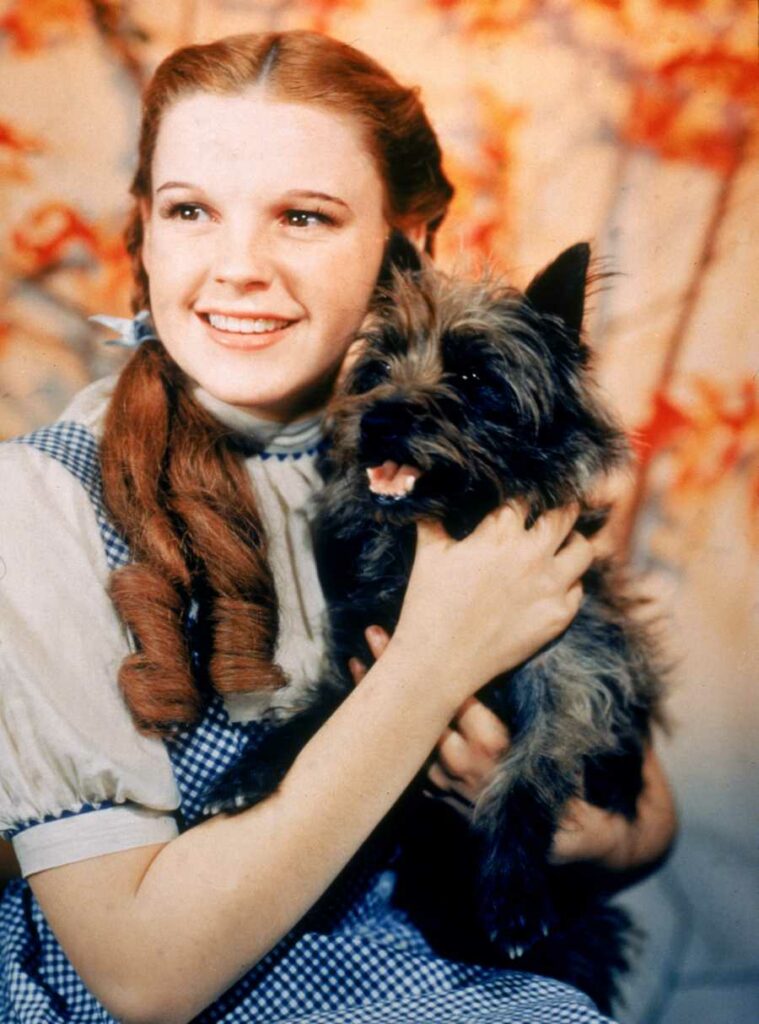 Dorothy Gale