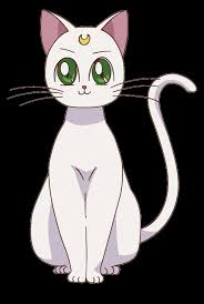 Artemis Sailor moon characters