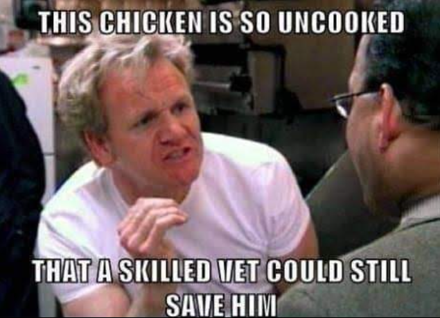 This Chicken Is So Uncooked
