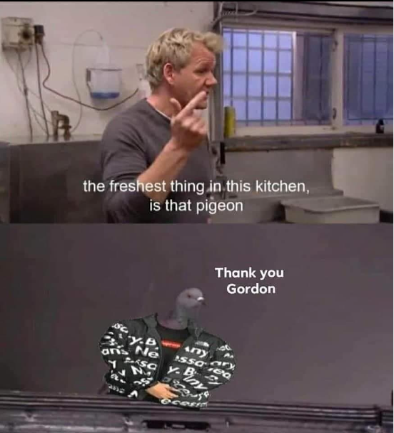 Thank You Gordon