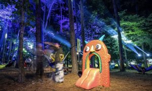 8 Things To Do On The Farm At Bonnaroo 2022