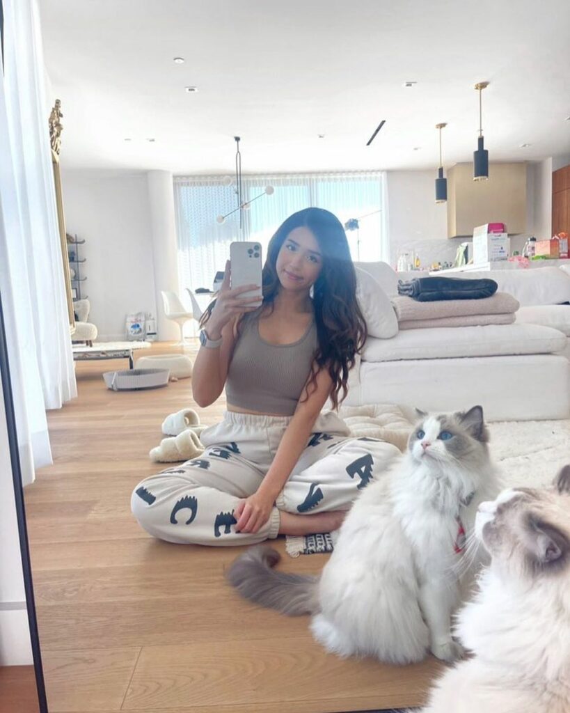 Me And My #1 Fan pokimane no makeup