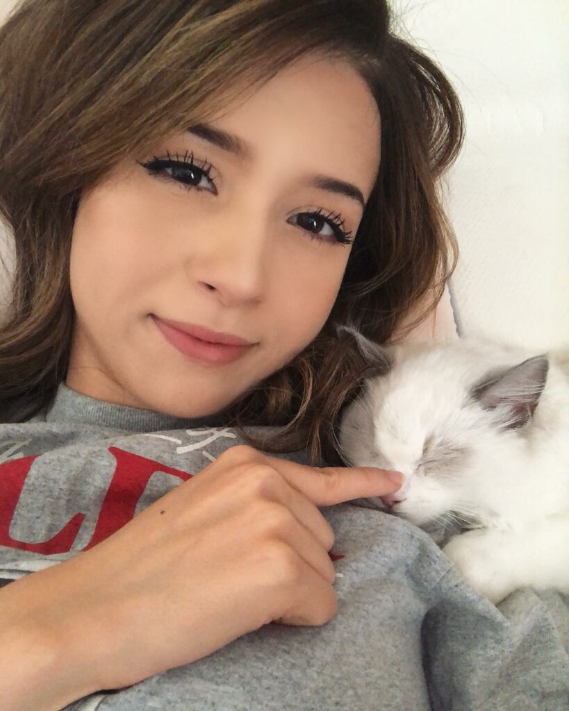 The One With Cat With No Makeup pokimane