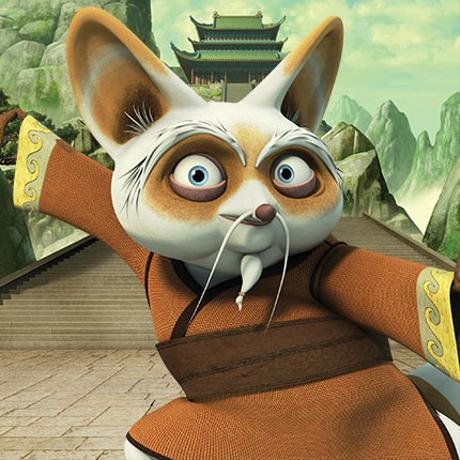 Master Shifu Kung Fu Panda Characters