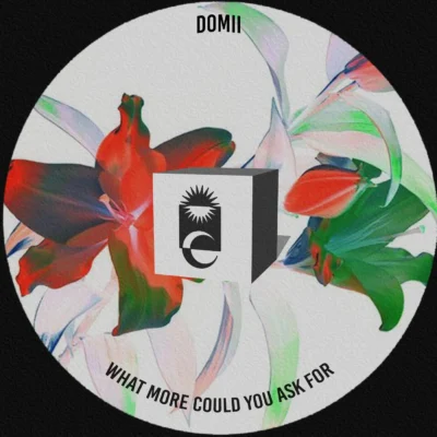 Interview with House Music Figurehead, DOMii