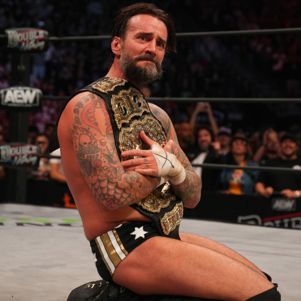 CM Punk best wwe wrestlers