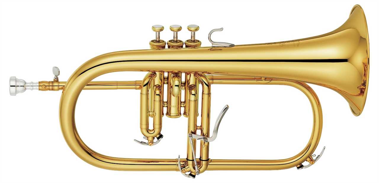 The D/Eb Trumpet