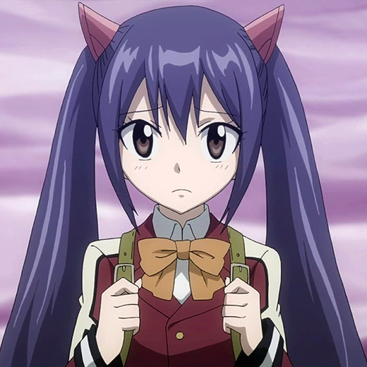 Wendy Marvell fairy tail characters