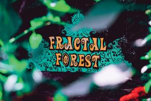 2022 Fractal Forest Lineup