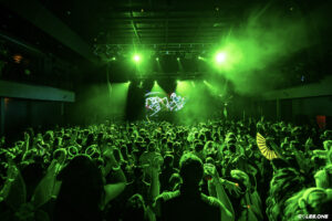 Shrek Raves Unite Humor And Music To Create Something Brilliant