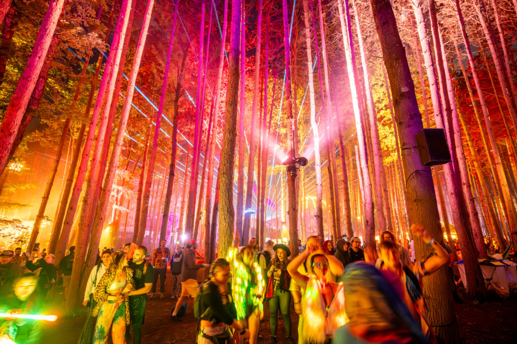 The Magic of The Energy of Electric Forest 2023