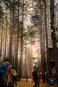 ELECTRIC FOREST [EVENT REVIEW]