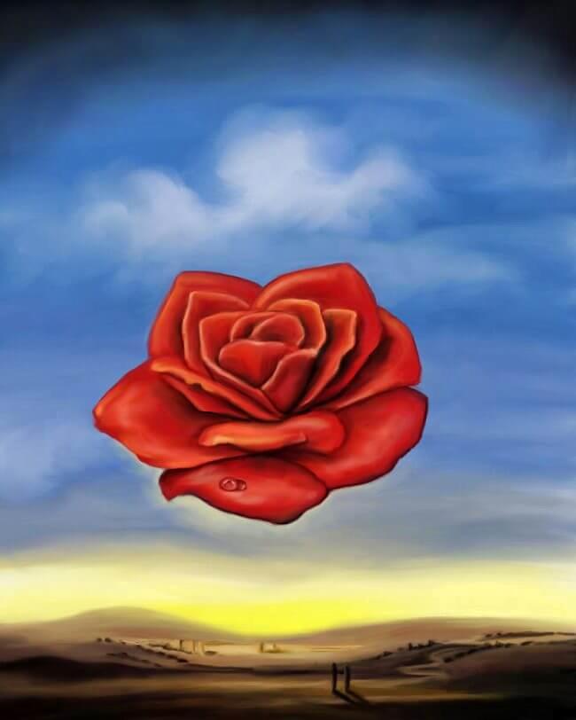 The Meditative Rose