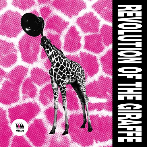 Diffrent Music Return With Revolution Of The Giraffe