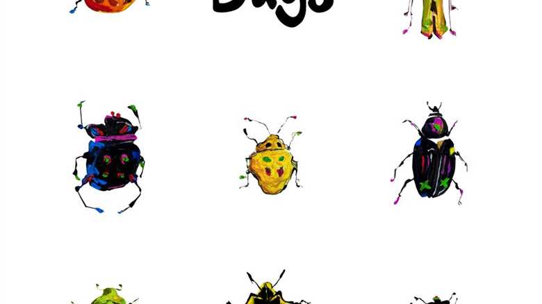 Sasha Dawe – Bugs