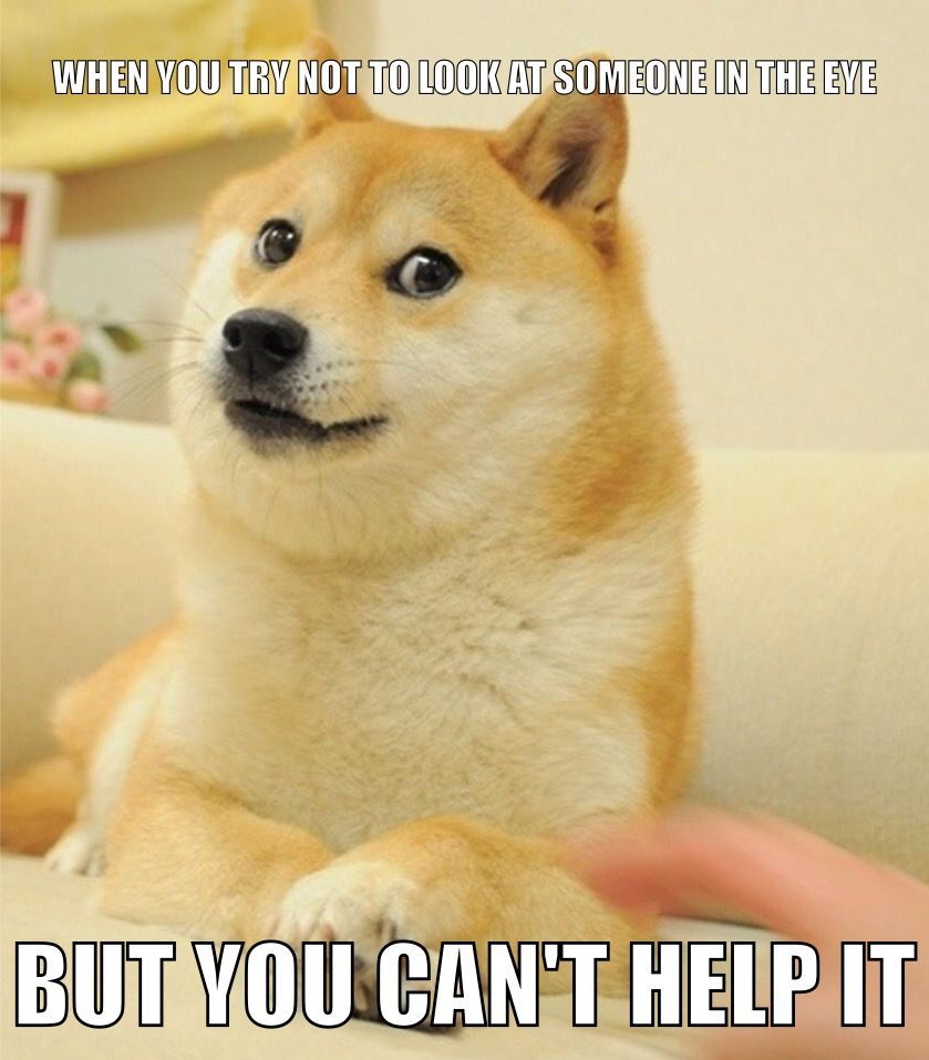 Dead Memes: Doge