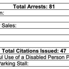 Coachella Weekend 1 Saw Decrease in Arrests