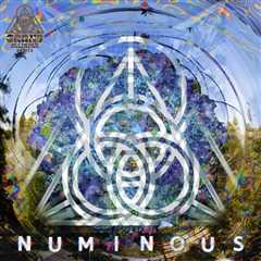 Will Grand Alliance Music’s NUMINOUS Compilation Lead to a Festival Takeover?
