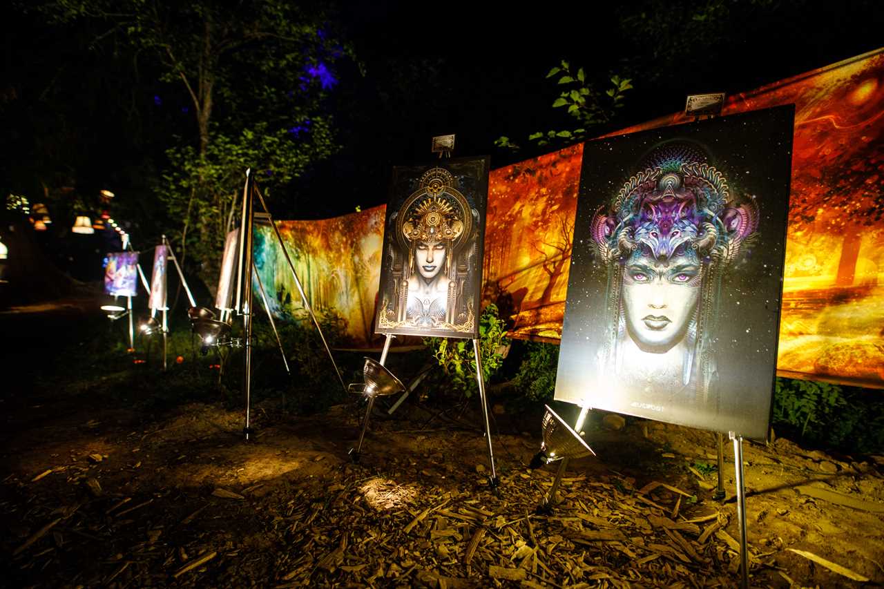 Shambhala In Photo’s By: Arron Leppard