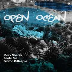 MARK SHERRY KEEPS TEASING US WITH HIS UPCOMING ALBUM AND HIS LATEST RELEASE “OPEN OCEAN”