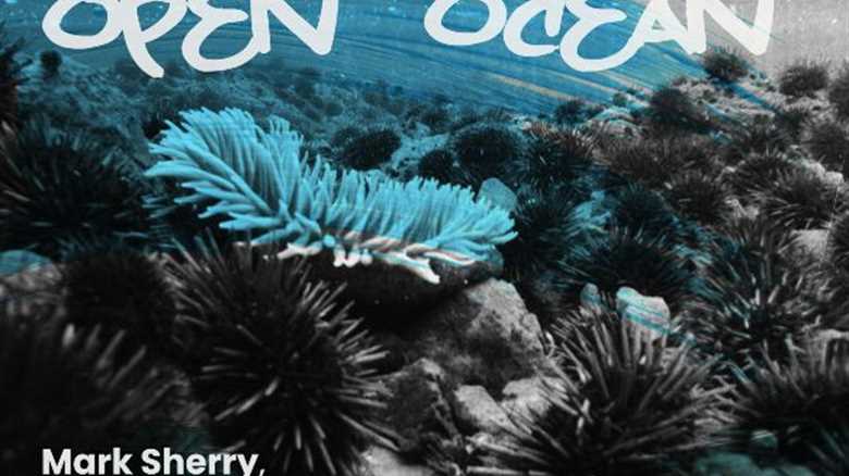 MARK SHERRY KEEPS TEASING US WITH HIS UPCOMING ALBUM AND HIS LATEST RELEASE “OPEN OCEAN”