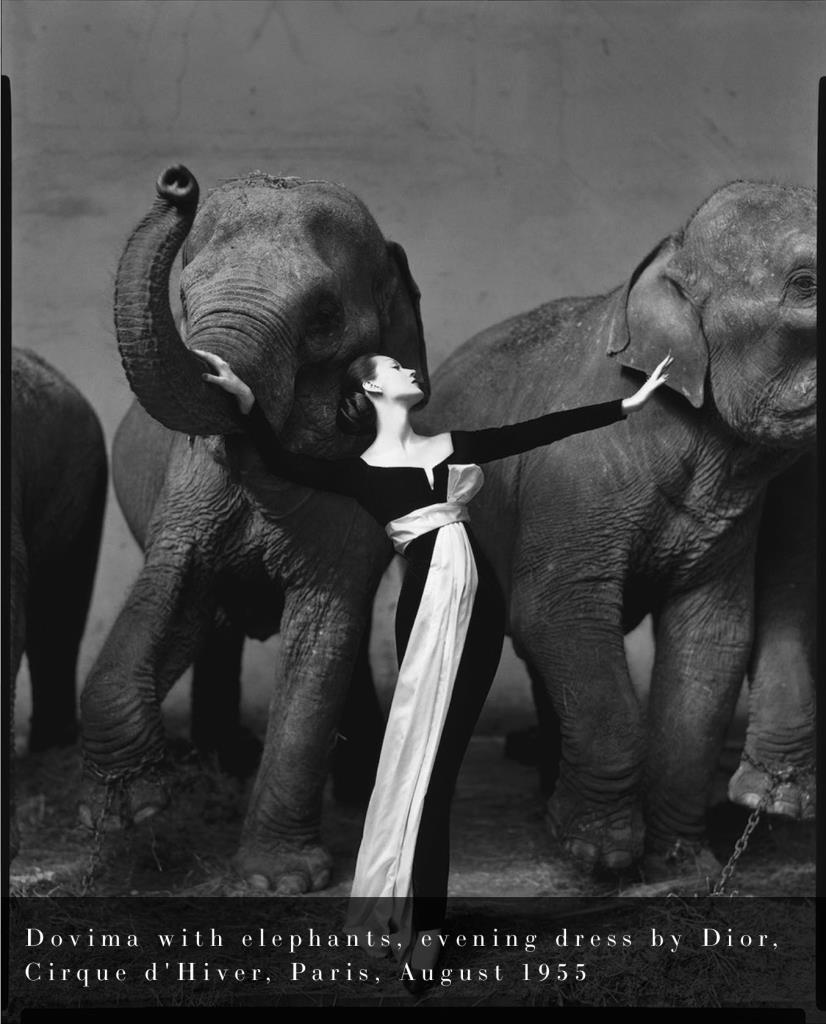  Richard Avedon 1955