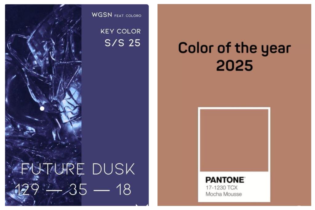 image of WGSN & Pantone's 2025 color of the year predictions" Future Dusk & Mocha Mousse