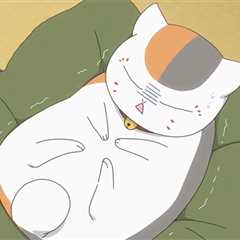 25 Best Adorable Anime Cats You Must Love