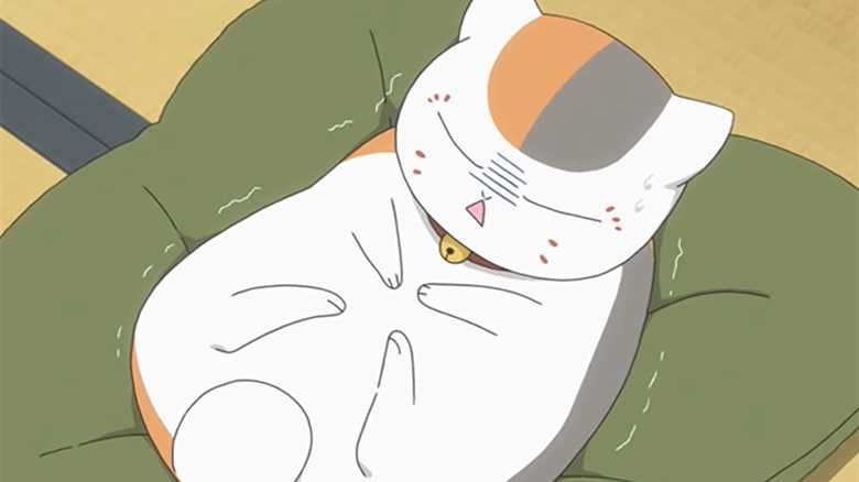 25 Best Adorable Anime Cats You Must Love