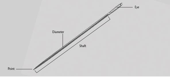 Anatomy of a needle