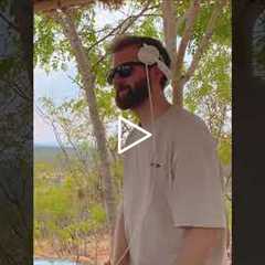 Summer Nostalgia 🥹 #summer #nostalgia #dj