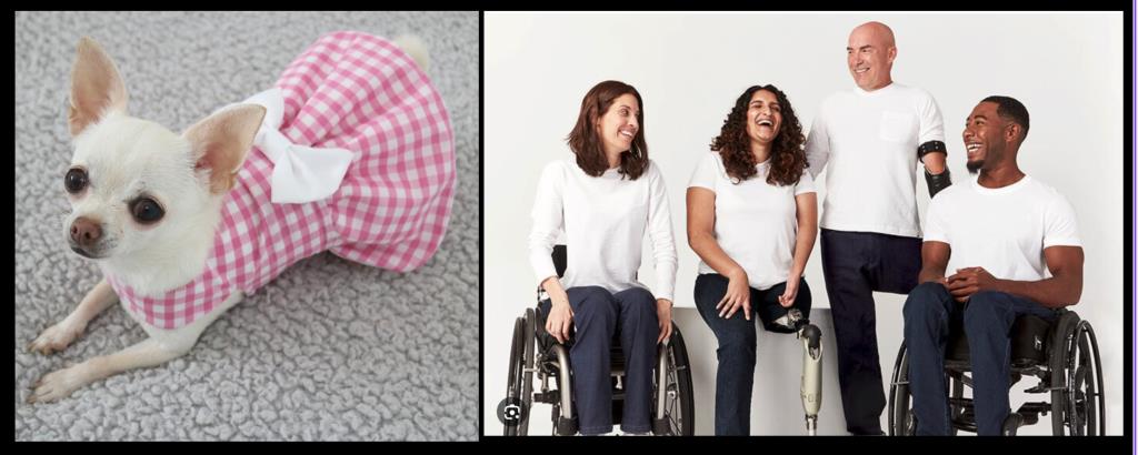 Chihuaha Fashion e-Ascension-lift